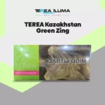 IQOS TEREA Green Zing Kazakhstan