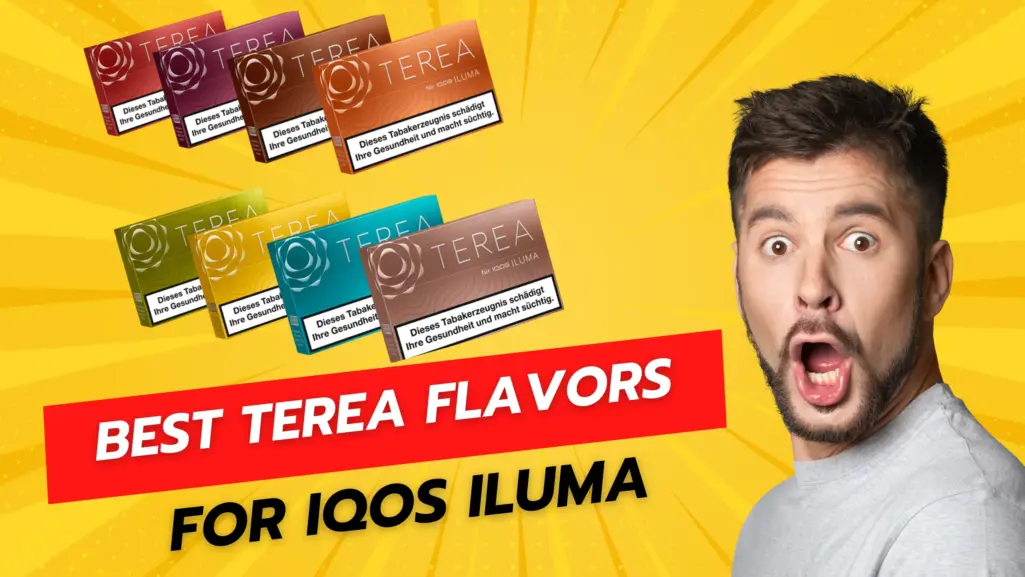 Best Terea Flavors for Iqos Iluma