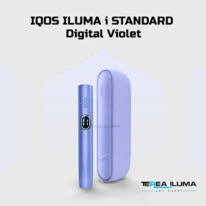 IQOS Iluma I Standard Violet in Dubai