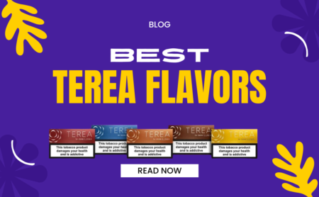 Best TEREA Flavors to Try in UAE