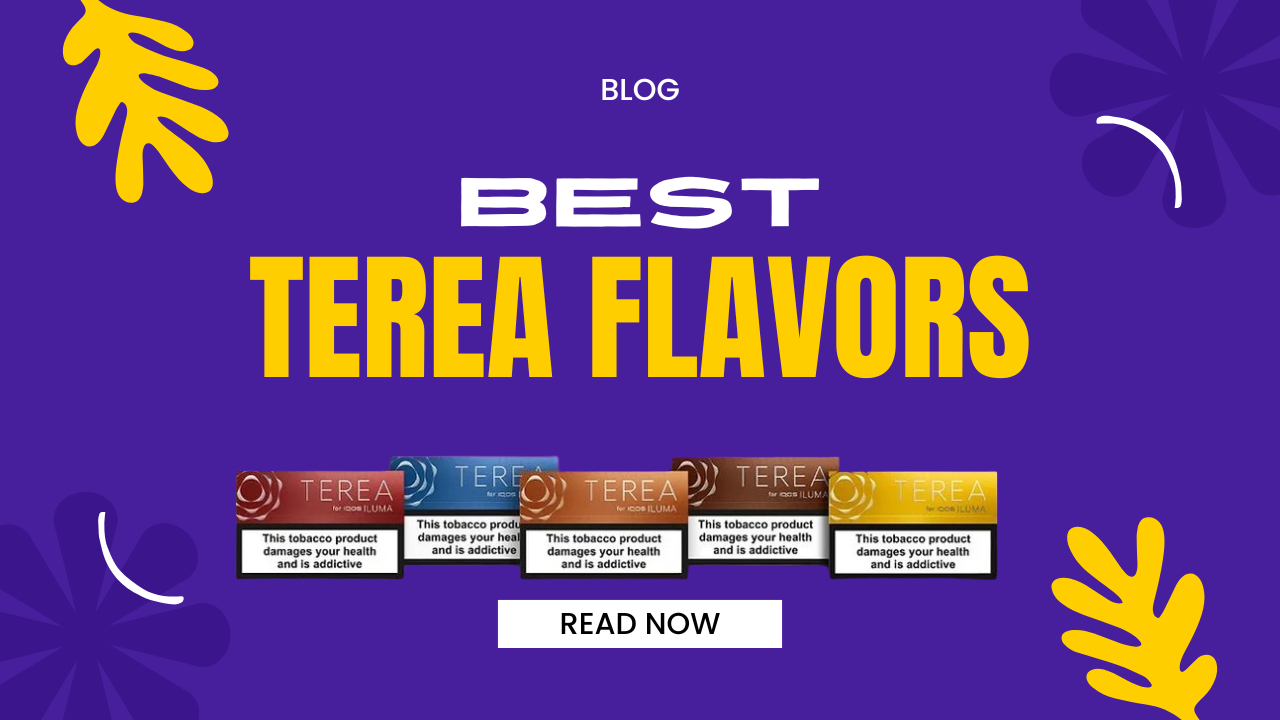 Best TEREA Flavors to Try in UAE